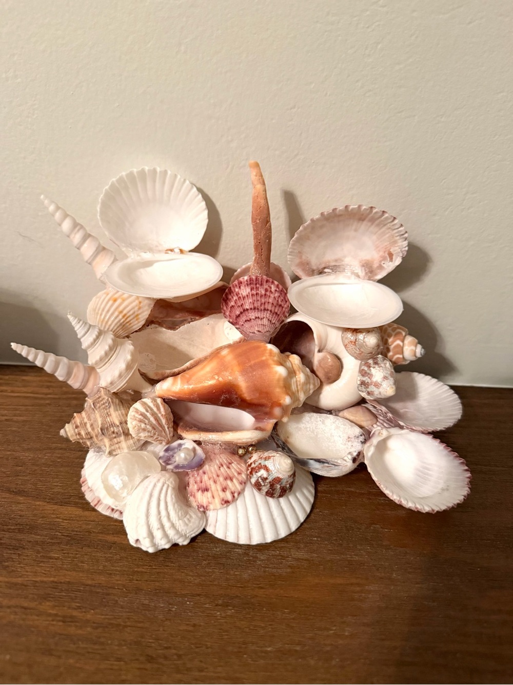 Seashell jewelry holder